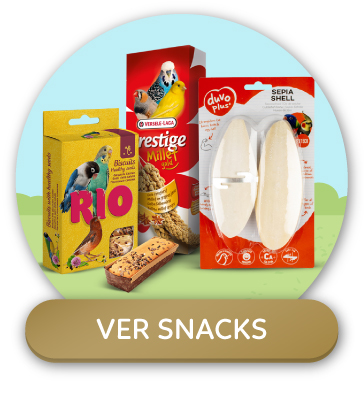 Snacks para pájaros