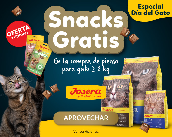 Snacks gratis para gato