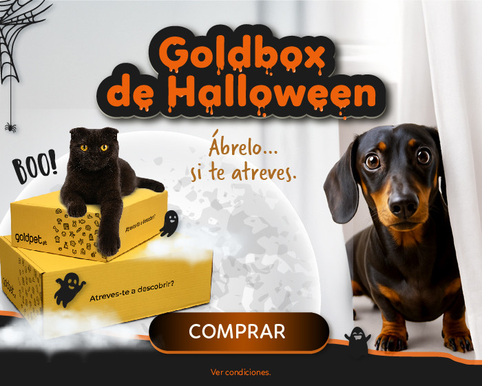 Goldbox de Halloween | Ábrelo... si te atreves.
