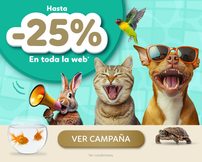 VERANO INSANO | Hasta -25% de descuento en toda la web!